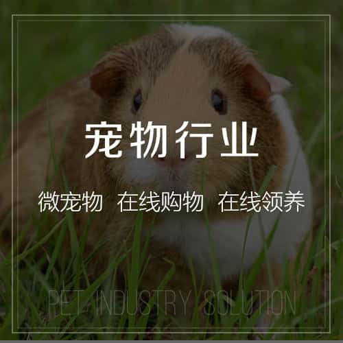 黑河宠物